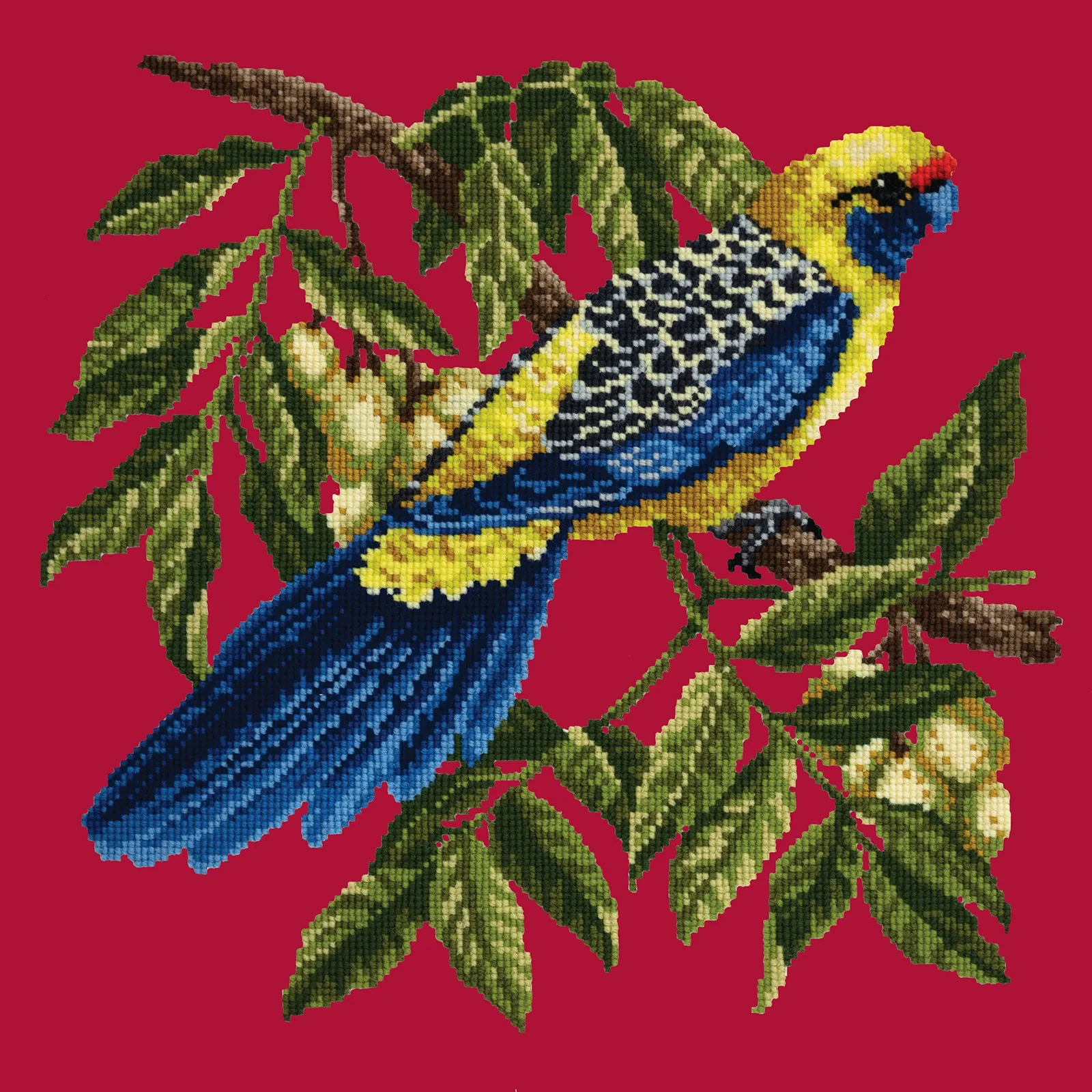 Rosella