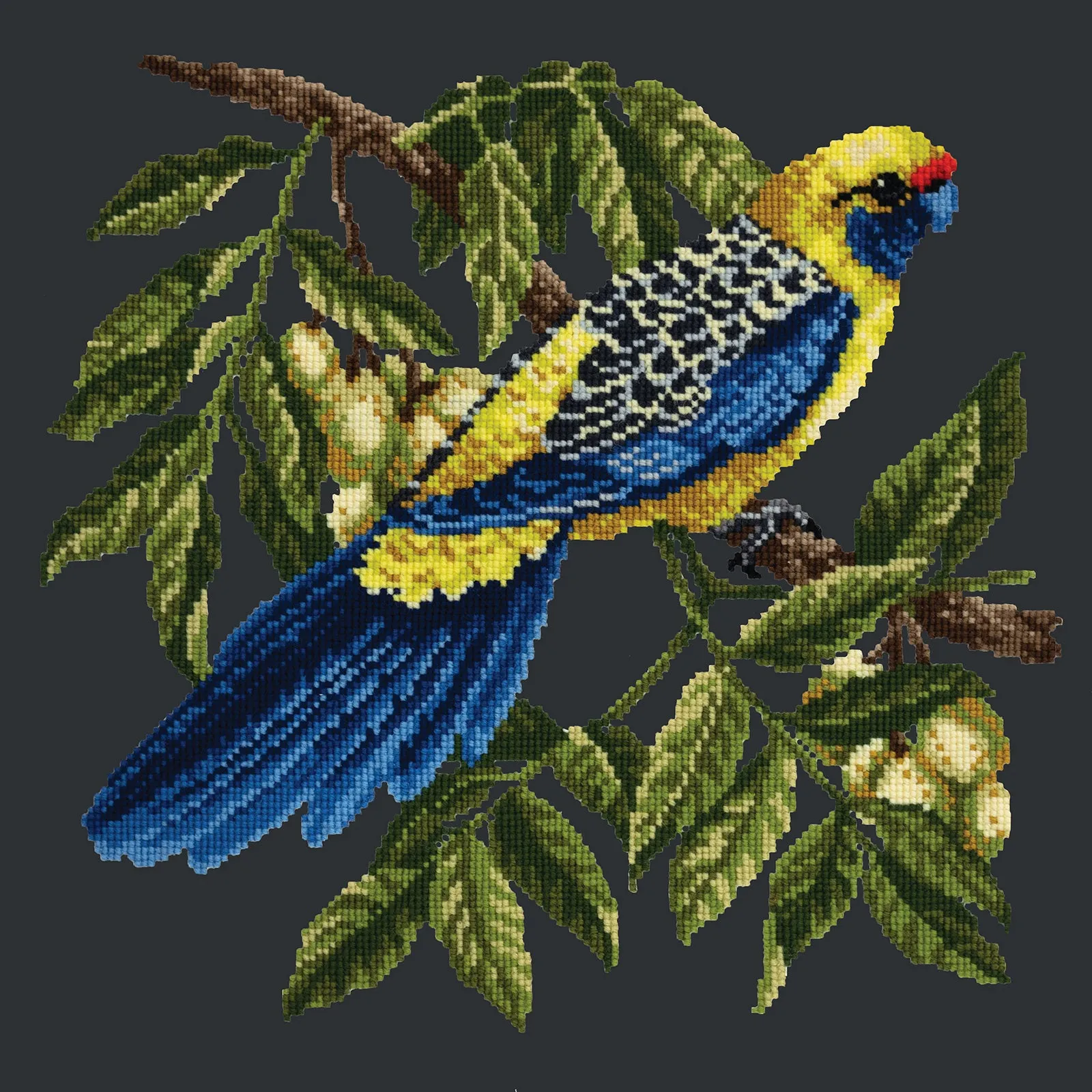 Rosella