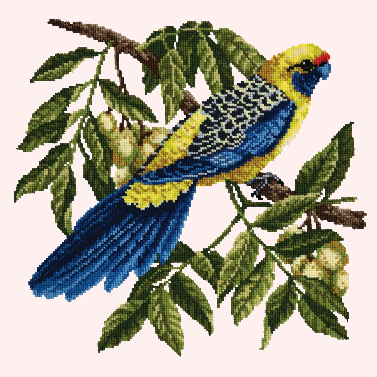 Rosella