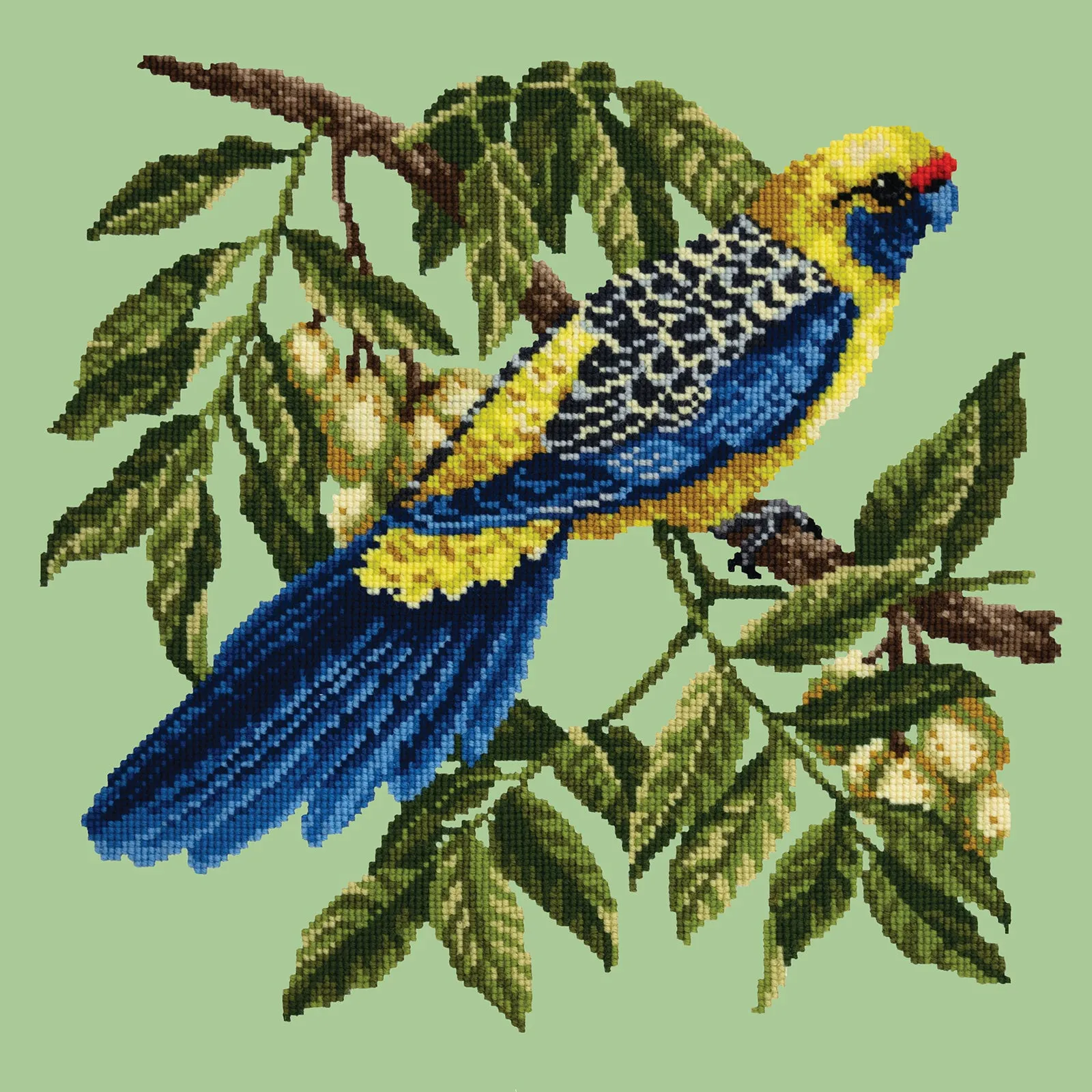 Rosella