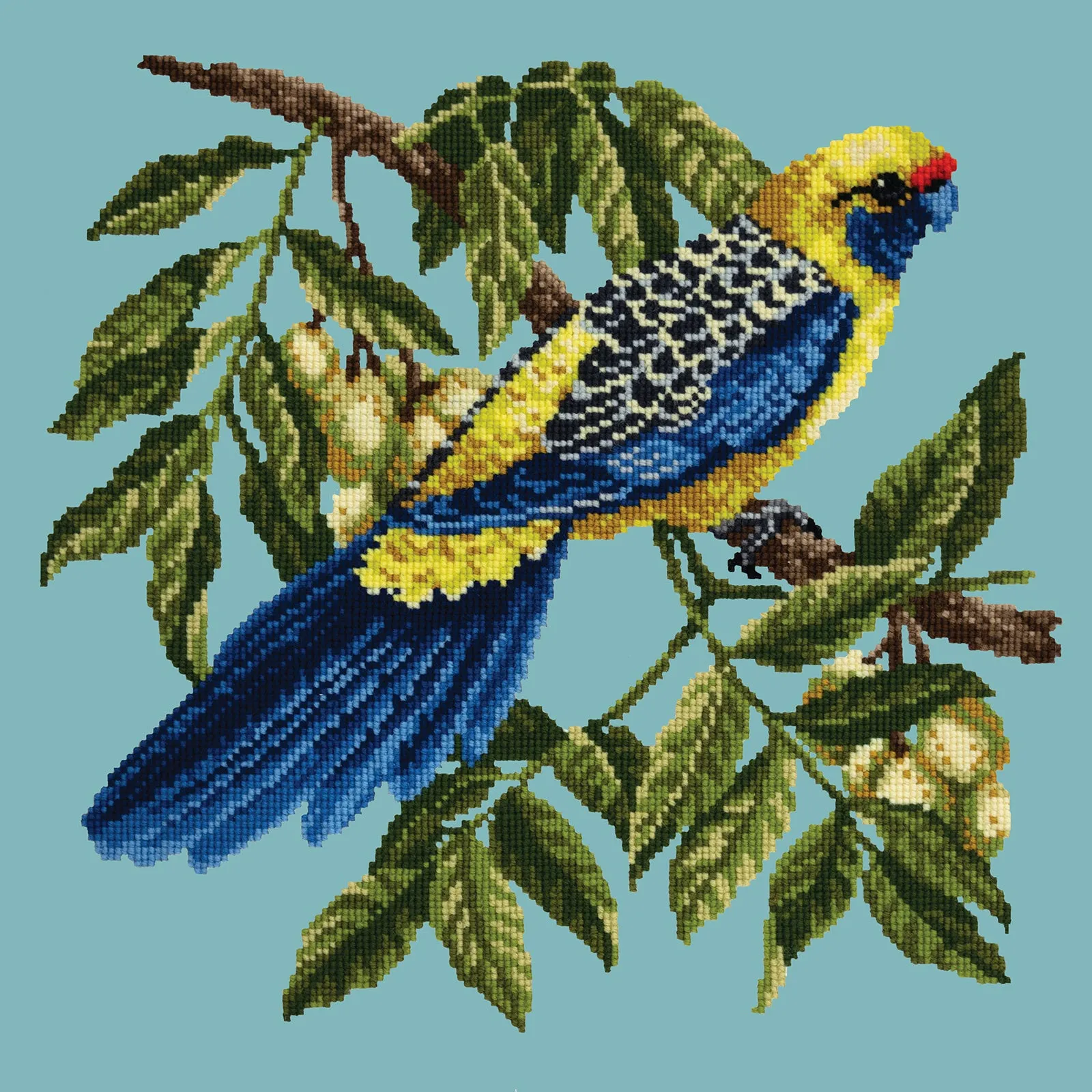 Rosella