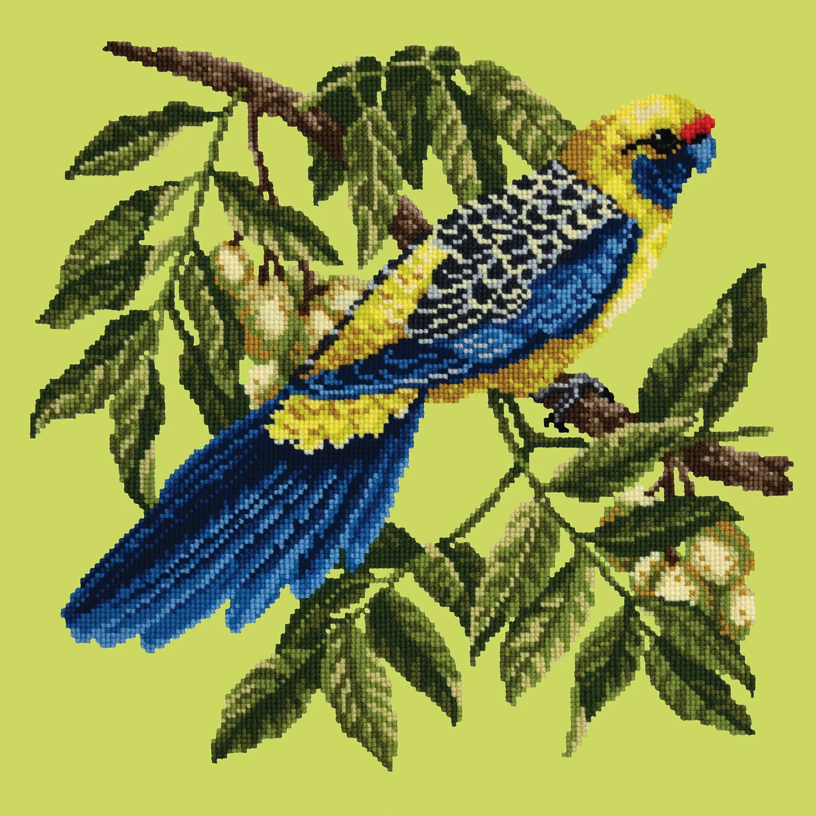 Rosella