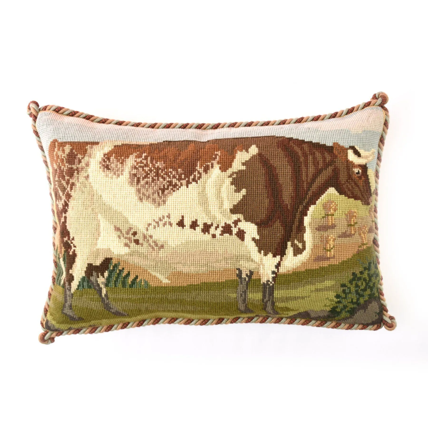 Shorthorn Ox