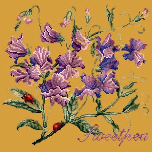 Sweetpea