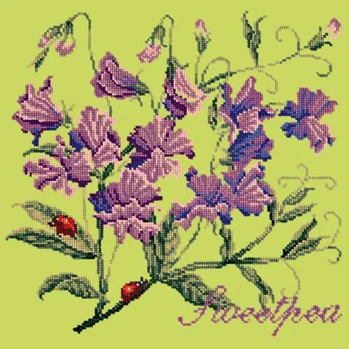 Sweetpea