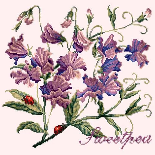 Sweetpea