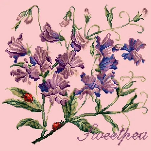 Sweetpea