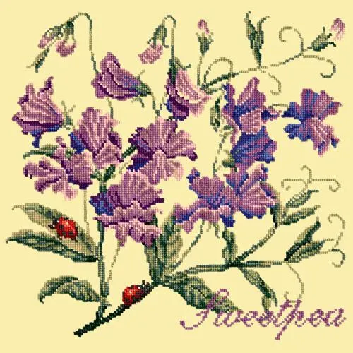 Sweetpea