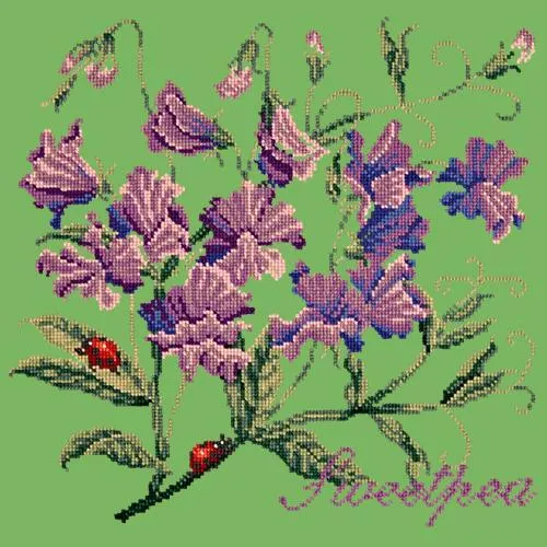 Sweetpea