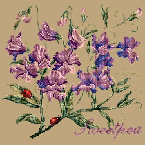 Sweetpea