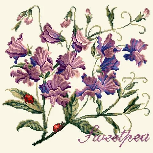 Sweetpea