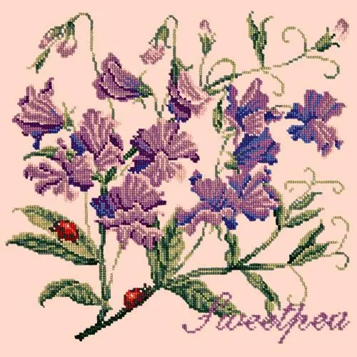 Sweetpea