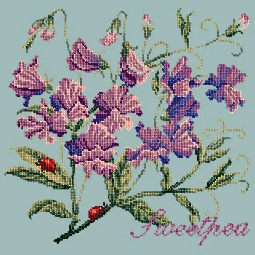 Sweetpea