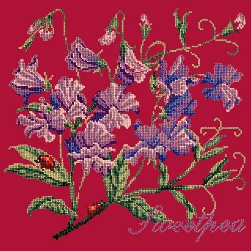 Sweetpea