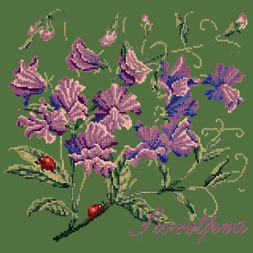 Sweetpea