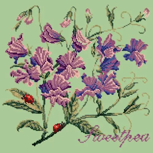 Sweetpea
