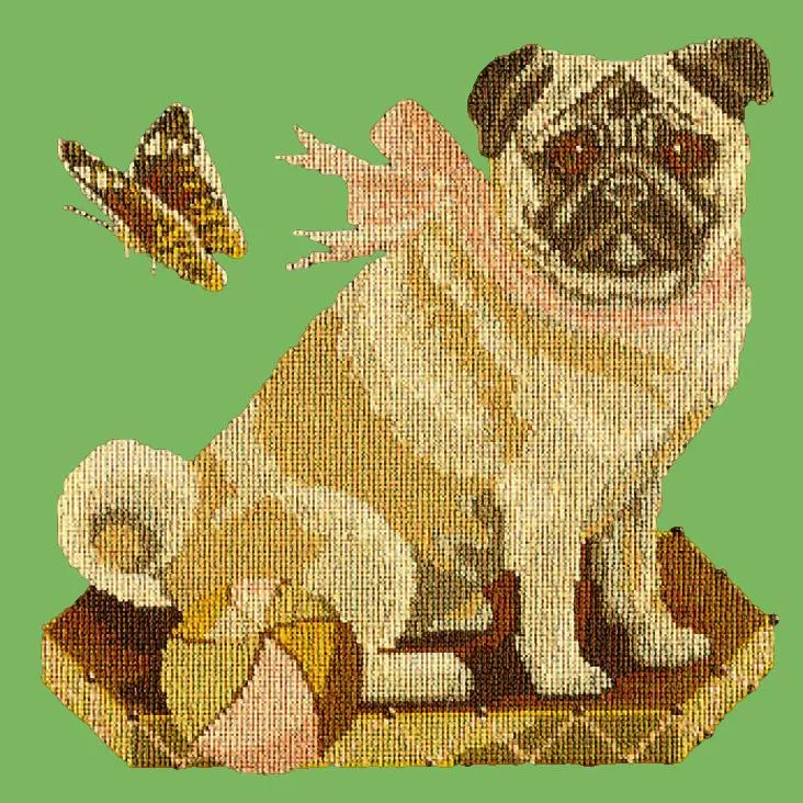 Toby the Pug