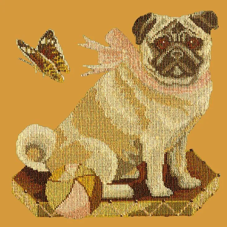 Toby the Pug