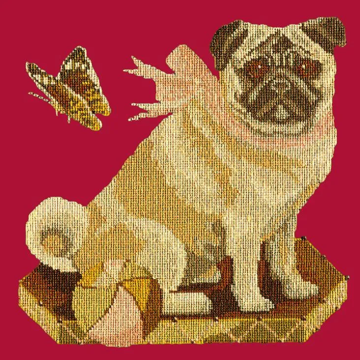 Toby the Pug