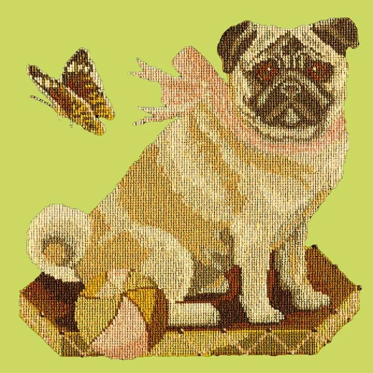 Toby the Pug