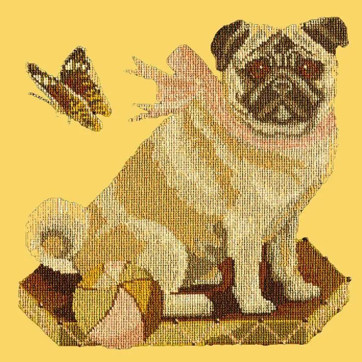 Toby the Pug