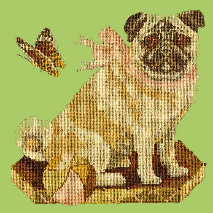 Toby the Pug