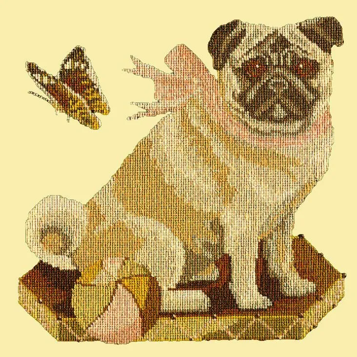 Toby the Pug