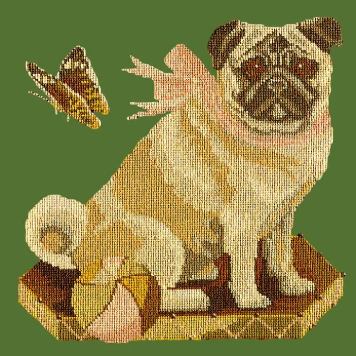 Toby the Pug
