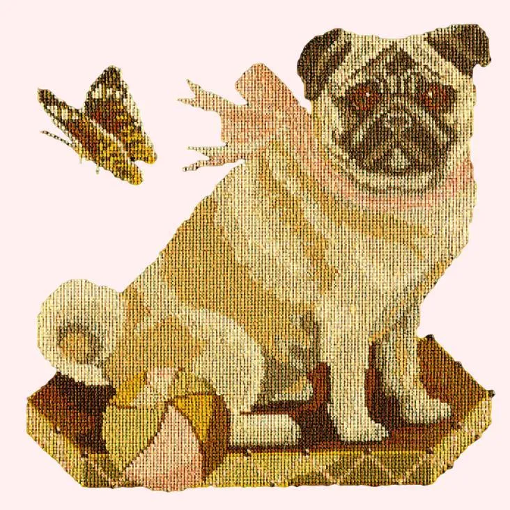 Toby the Pug