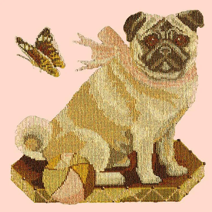 Toby the Pug