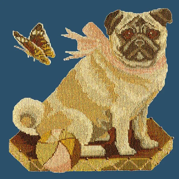 Toby the Pug