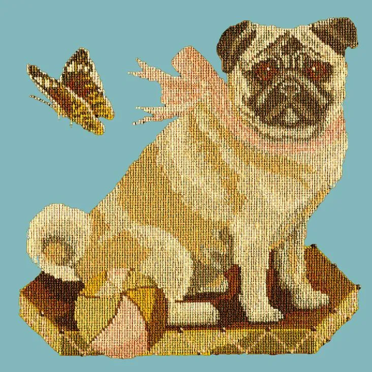 Toby the Pug