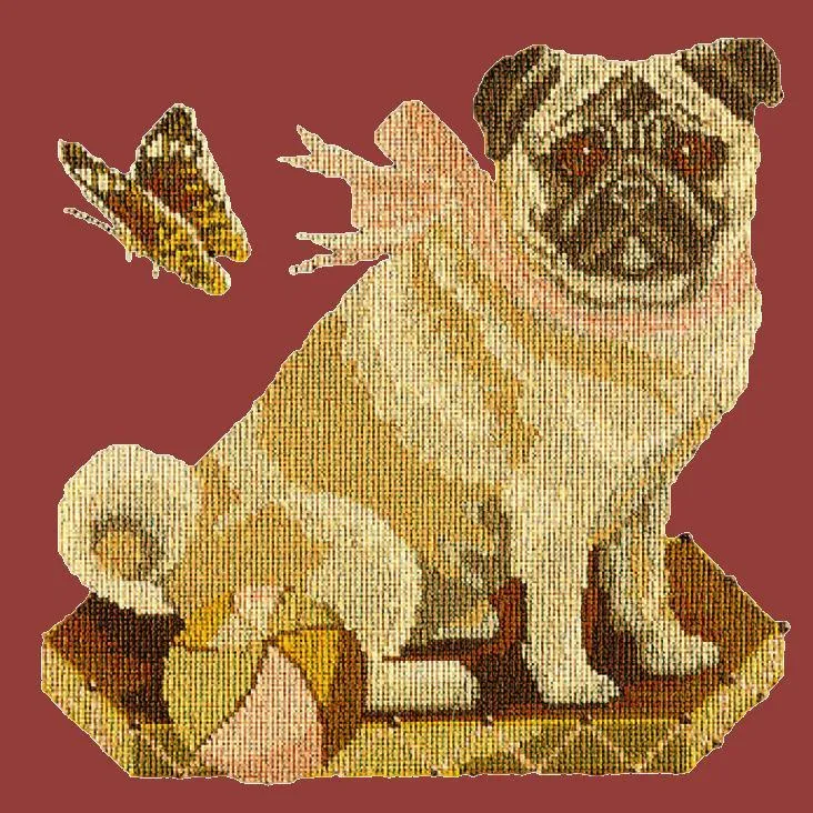 Toby the Pug