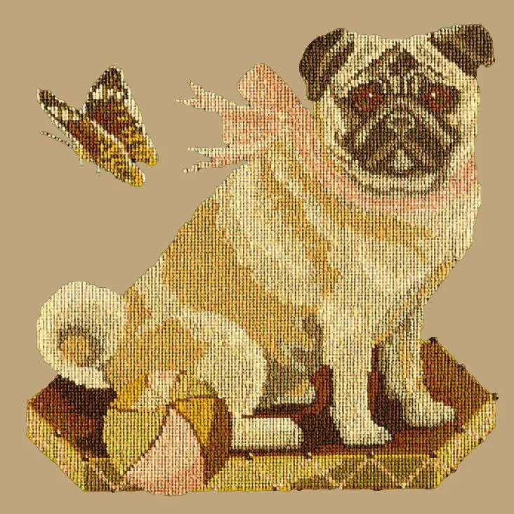 Toby the Pug