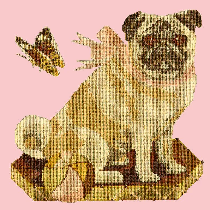 Toby the Pug