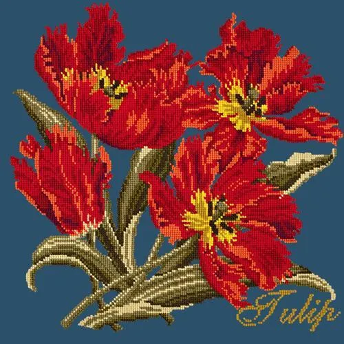 Tulip