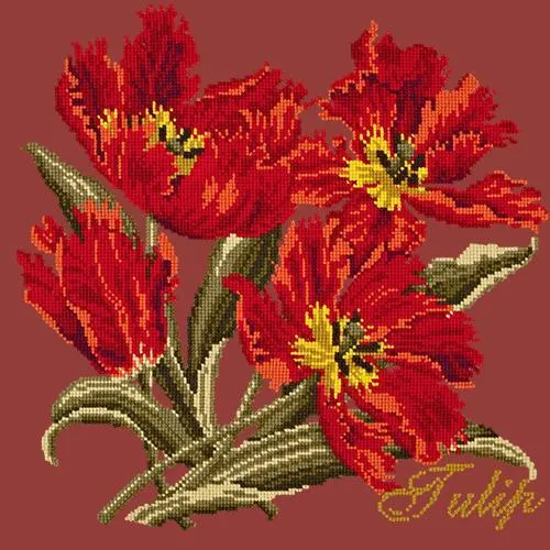 Tulip