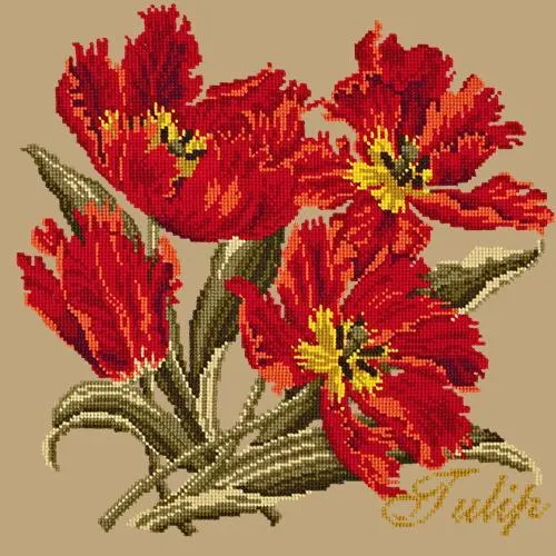 Tulip