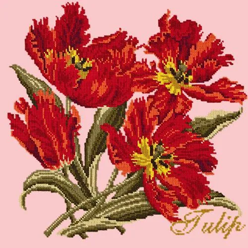 Tulip