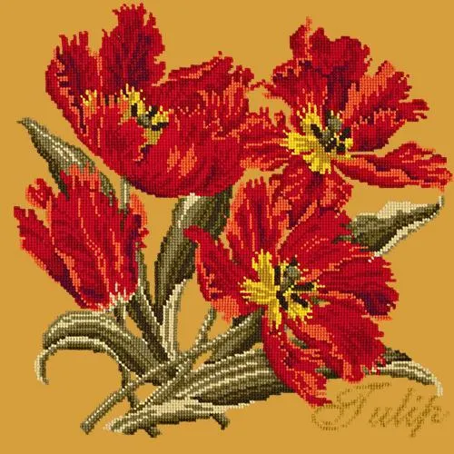 Tulip