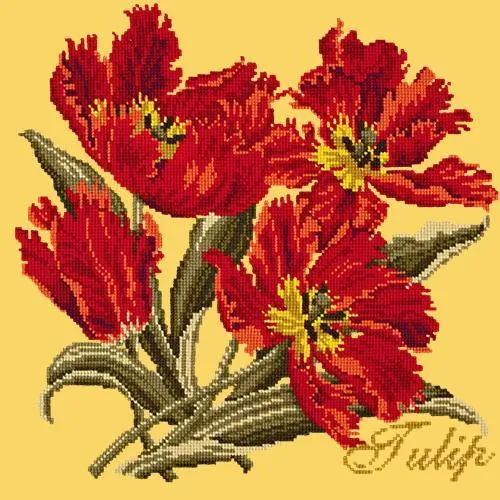 Tulip