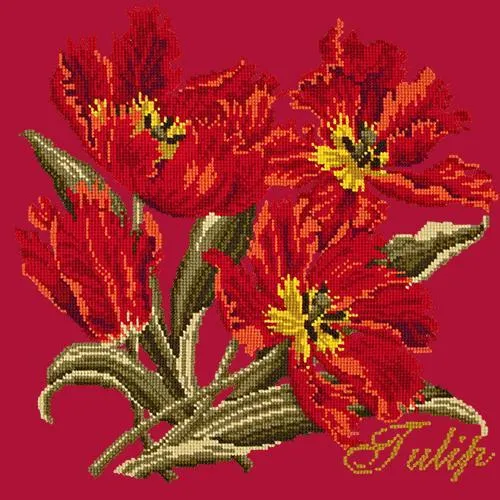 Tulip