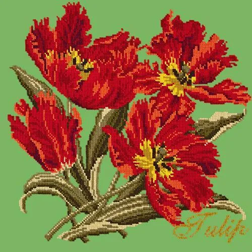 Tulip