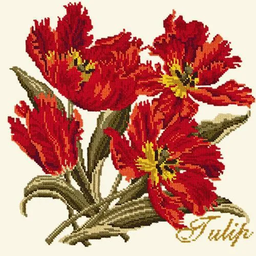 Tulip