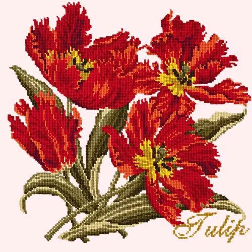 Tulip