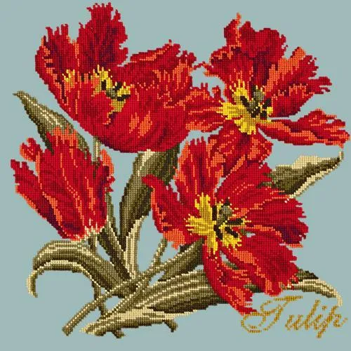 Tulip