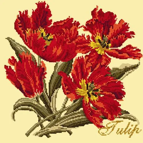 Tulip